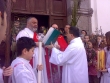 DOMENICA DELLE PALME 2008