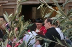 domenica delle palme 2011