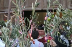 domenica delle palme 2011