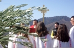 domenica delle palme 2013