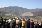 domenica delle palme 2013