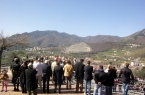 domenica delle palme 2013