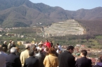 domenica delle palme 2013