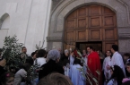 domenica delle palme 2013