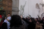 domenica delle palme 2013