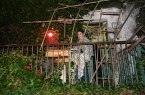 presepe vivente 2010